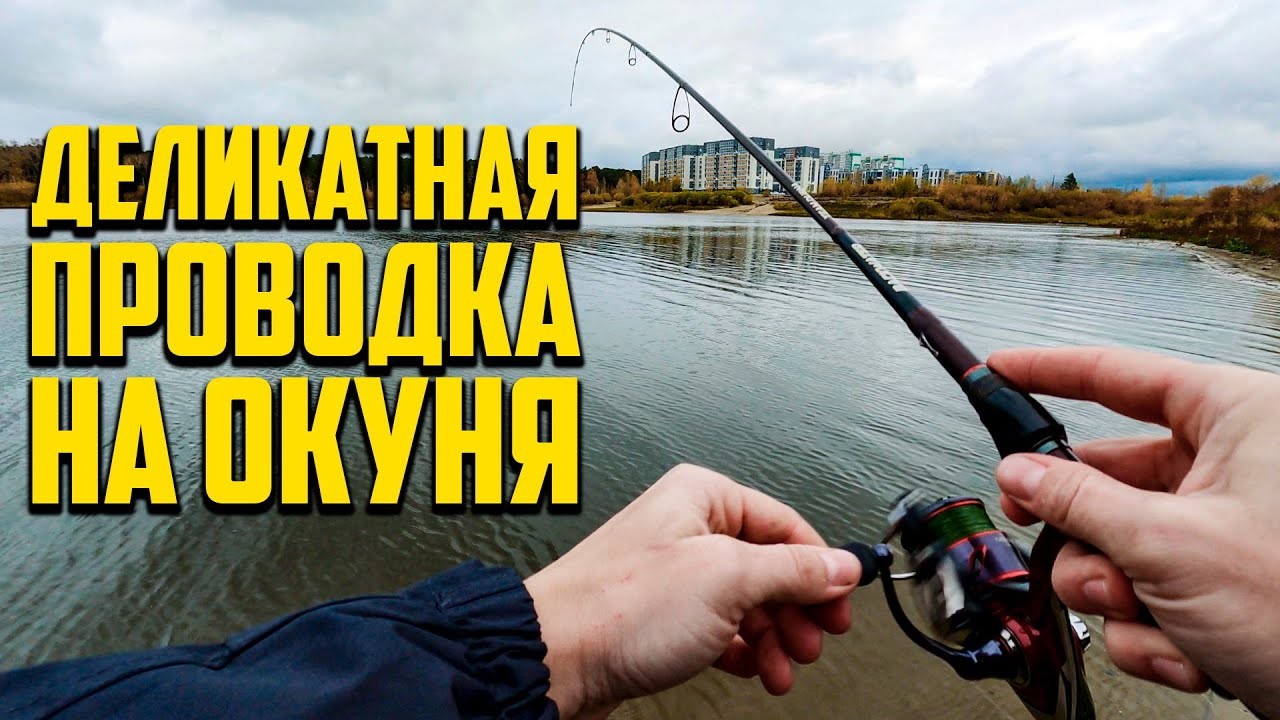 КАК ЛОВИТЬ ОКУНЯ ОСЕНЬЮ. Рыбалка на микроджиг в городе, ультралайт спиннинг Team Dubna Backwater 702UL
