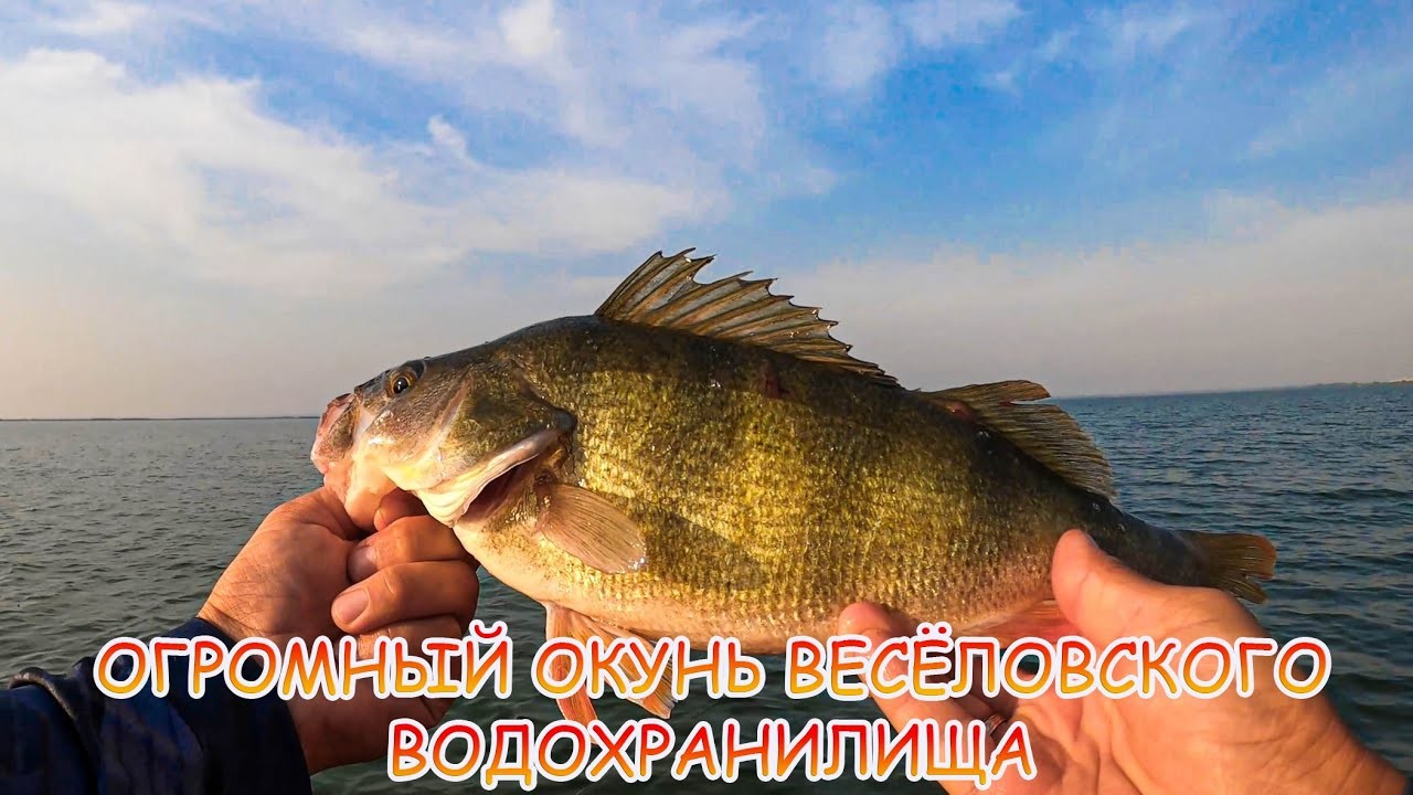 ОТЛИЧНАЯ рыбалка на Весёловском водохранилище!