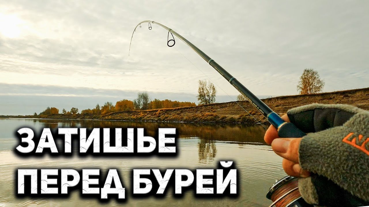 Рыбалка с лодки на ЩУКУ и СУДАКА. Спиннинг 2021 осенью в октябре.