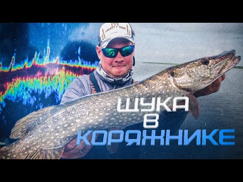 НА ЭТУ приманку ЩУКА в коряжнике КЛЮЕТ. Рыбалка на щуку осенью.