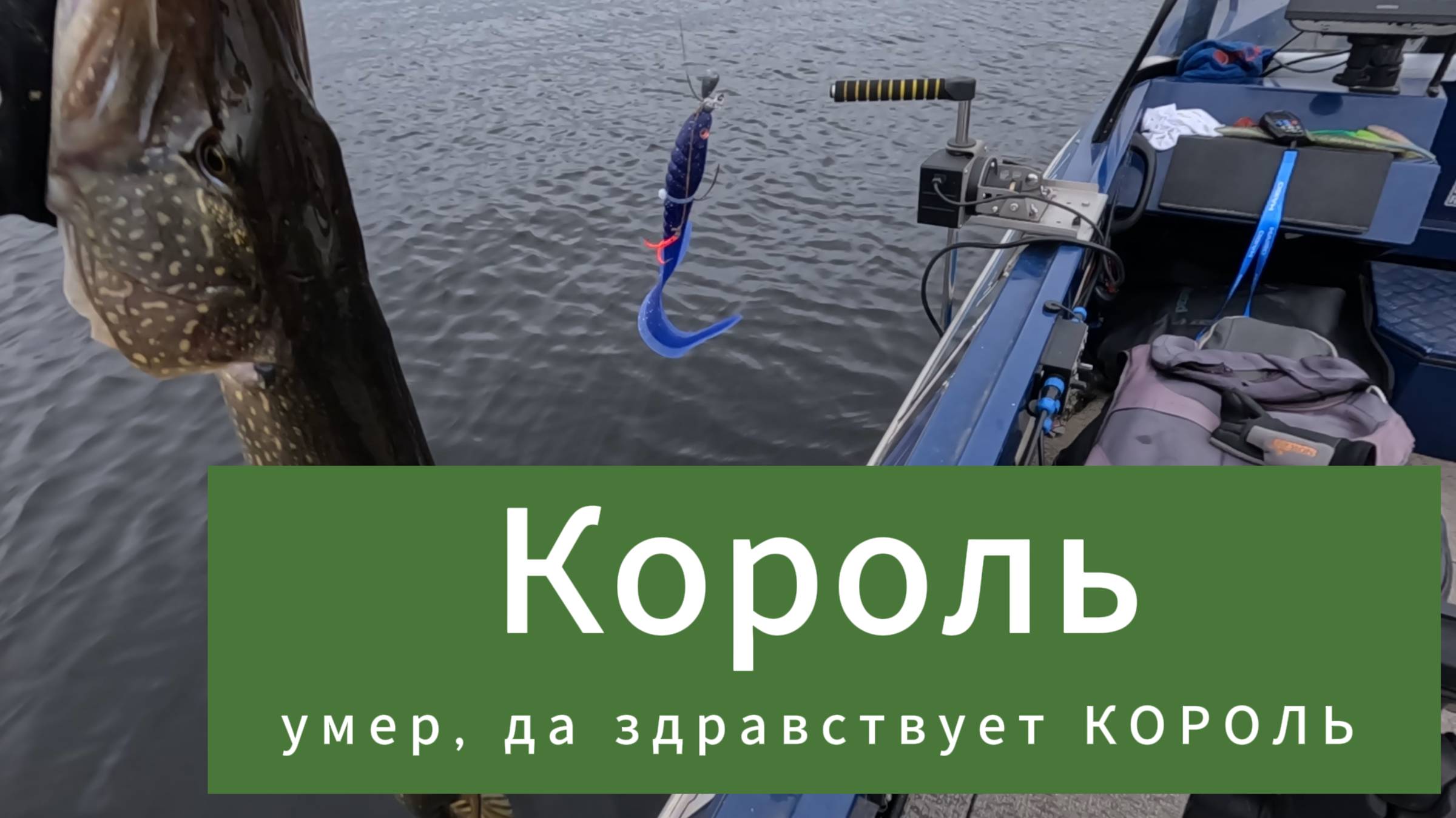 Король умер, да здравствует король!
