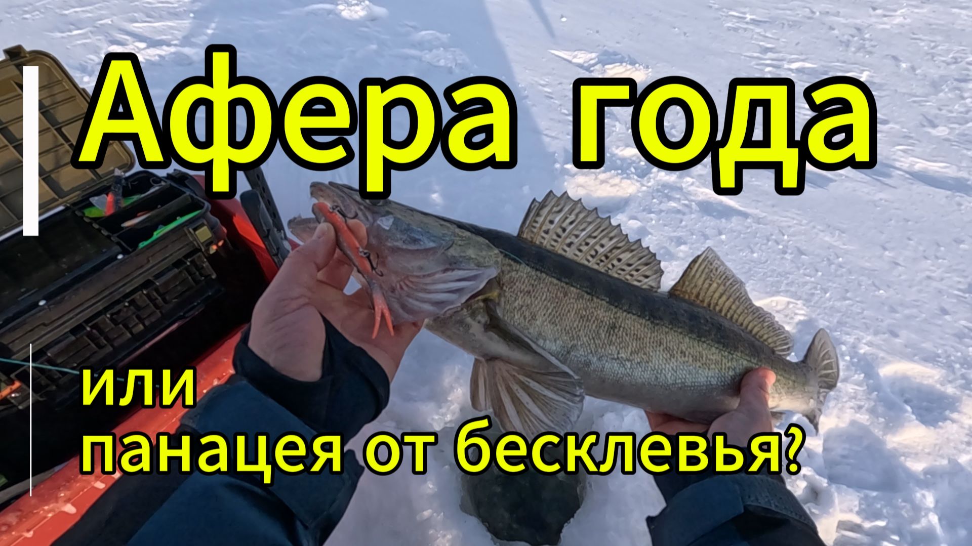 Афера года или панацея от бесклевья? Баланслаг Jig It Whale Tail!
