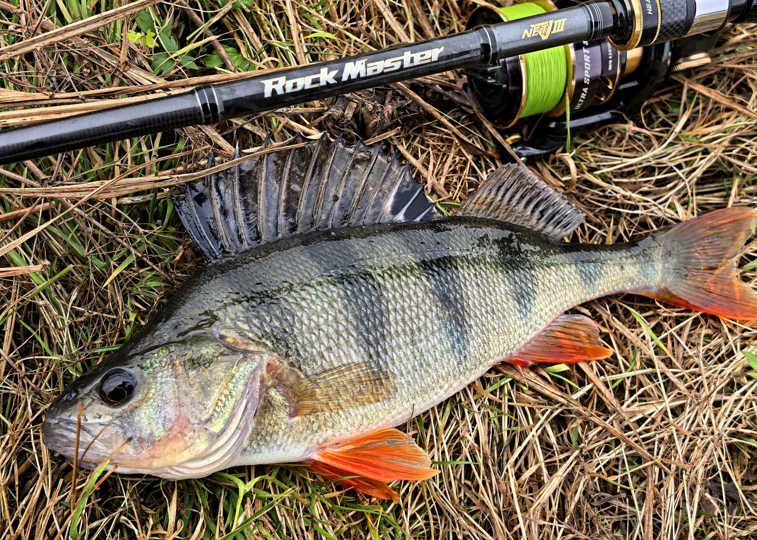 Обзор спиннинга Hearty Rise Rock Master 802ML. Личный опыт и мнение.