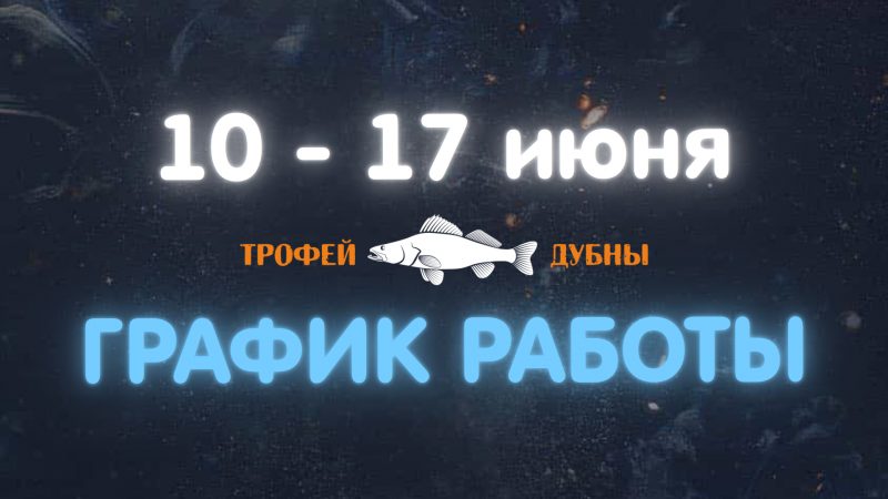 Трофей Дубны 2026. График работы интернет-магазина.
